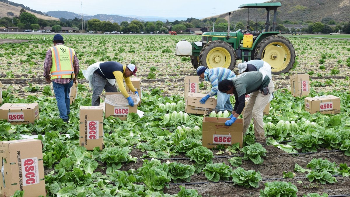 Inmigracion, Plan C, Biden